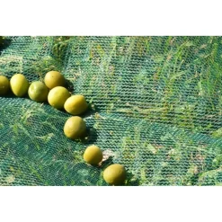 SET 3PZ RETE PER RACCOLTA OLIVE FRUTTA PIANTAGIONI RESISTENTE DUREVOLE 3X10MT VERDE 222271