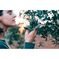 SET 3PZ RETE PER RACCOLTA OLIVE FRUTTA PIANTAGIONI RESISTENTE DUREVOLE 3X10MT VERDE 222271