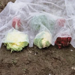 SET 3PZ ROTOLI TELO PROTETTIVO TESSUTO PROTEZIONE DELLE COLTURE RACCOLTI 1X10MT 134058