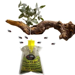 SET 12PZ TRAPPOLA PER MOSCHE INSETTI CON ESCA NATURALE ECOLOGICA SICURA UMANI ANIMALI 639719A