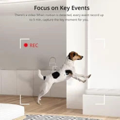 SMART CAMERA MINI TELECAMERA VISIONE NOTTURNA ALEXA GOOGLE 1080P WIFI SONOFF S-CAM