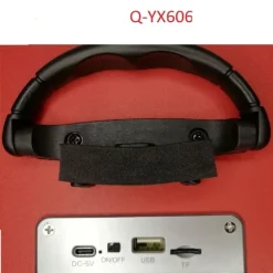 SPEAKER PORTATILE KARAOKE ALTOPARLANTE BLUETOOTH WIRELESS MICROFONO LED Q-YX606