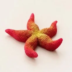 STELLA MARINA ROSSA ARTIFICIALE IN RESINA PER DECORAZIONI ACQUARIO CORALLO FINTO