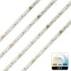 STRISCIA 980LED 62W CCT DA 3000K A 6500K 24V IMPERMEABILE DIMMERABILE BOBINA 5MT