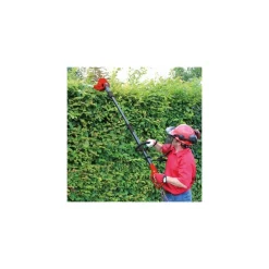 TAGLIASIEPI ELETTRICO TELESCOPICO EINHELL GC-HH 5047 MOTORE 500 W