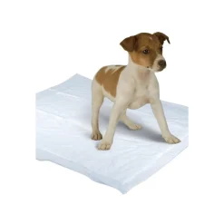 TAPPETINI SUPERR ASSORBENTI PER CANI GATTI 60X60CM CUCCIOLI PANNOLINI TRAVERSE