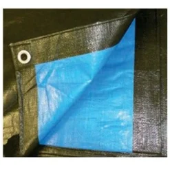 TELONE RAFIA 100GR COPERTURA PER PISCINA 4X4MT IMPERMEABILE RESISTENTE OCCHIELLI 401785