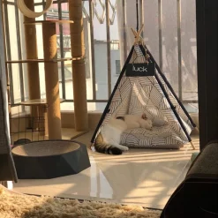 TEPEE LETTO CUSCINO LAVAGNA RIMOVIBILE LAVABILE PORTATILE PER ANIMALI 50X50X70CM