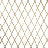 TRALICCIO LEGNO RETE ESTENSIBILE PIANTE RAMPICANTI STACCIONATA 100X200 CM 206429