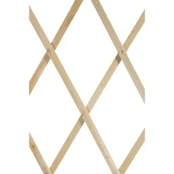 TRALICCIO LEGNO RETE ESTENSIBILE PIANTE RAMPICANTI STACCIONATA 100X200 CM 206429