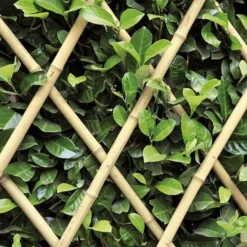 TRALICCIO RETE BAMBÙ BAMBOO 180 X 60 CM ESTENSIBILE BAMBOO PIANTE RAMPICANTI