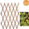 TRALICCIO RETE ESTENSIBILE LEGNO SCURO PER PARETE DA GIARDINO PIANTE 180X120cm