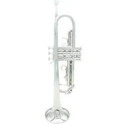 TROMBA SIB B FLAT IN OTTONE EXQUISITE CON BOCCHINO GUANTI STRUMENTO MUSICALE