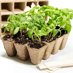 VASI VASETTI BIODEGRADABILI PER PIANTINE PIANTE FIORI SEMENZAIO 40PZ 6X6X4.5CM